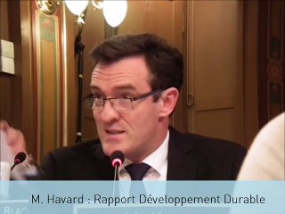 Rapport annuel développement durable