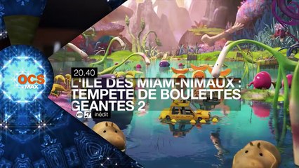 Votre soirée sur OCS : 31 décembre 2015