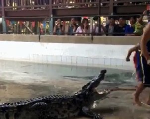 Хорошо что крокодил не испугался )))) (Well that was not afraid of the crocodile)))))