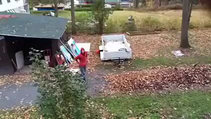 That's one way to get rid of leaves!