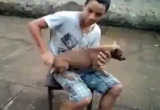 funny VID-20151028-WA0009