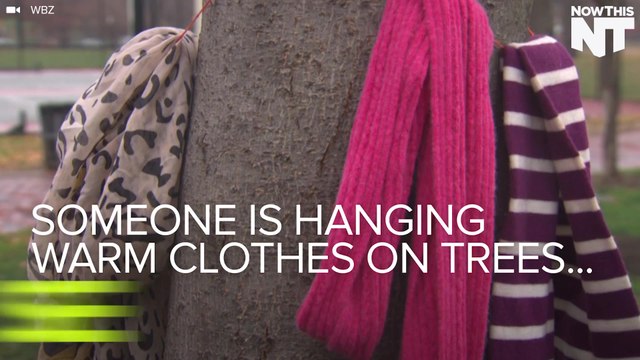 Someone Is Tying Warm Clothes To Trees For Those In Need
