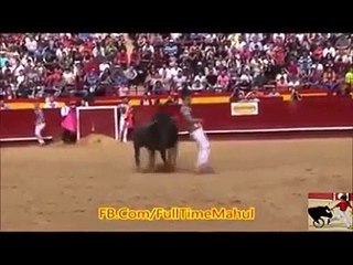 Bullfighting