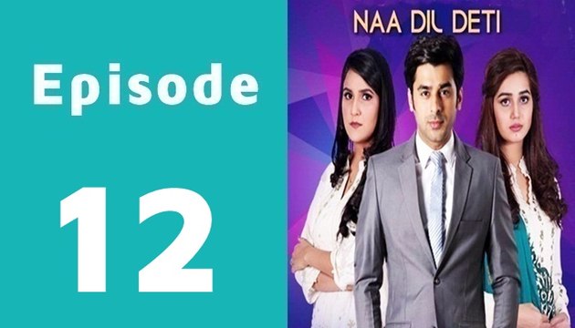 Naa Dil Deti Episode 12 Full on Hum Sitaray