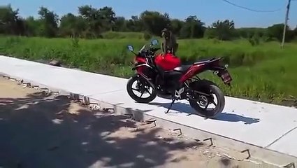 Little monkey fights with biker