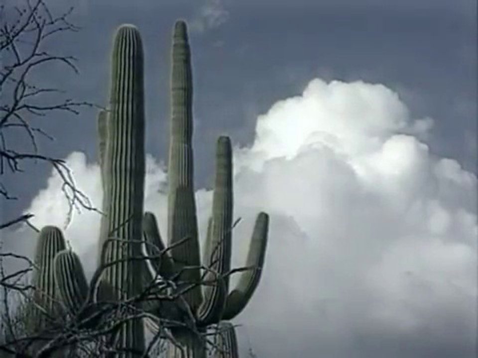 Les records de l'univers (Documentaire scientifique, 2015)