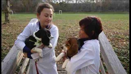 Una universidad de EE.UU. da a luz la primera camada de perros in vitro