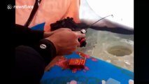 Big fish hooked with tiny fishing rod in ice hole