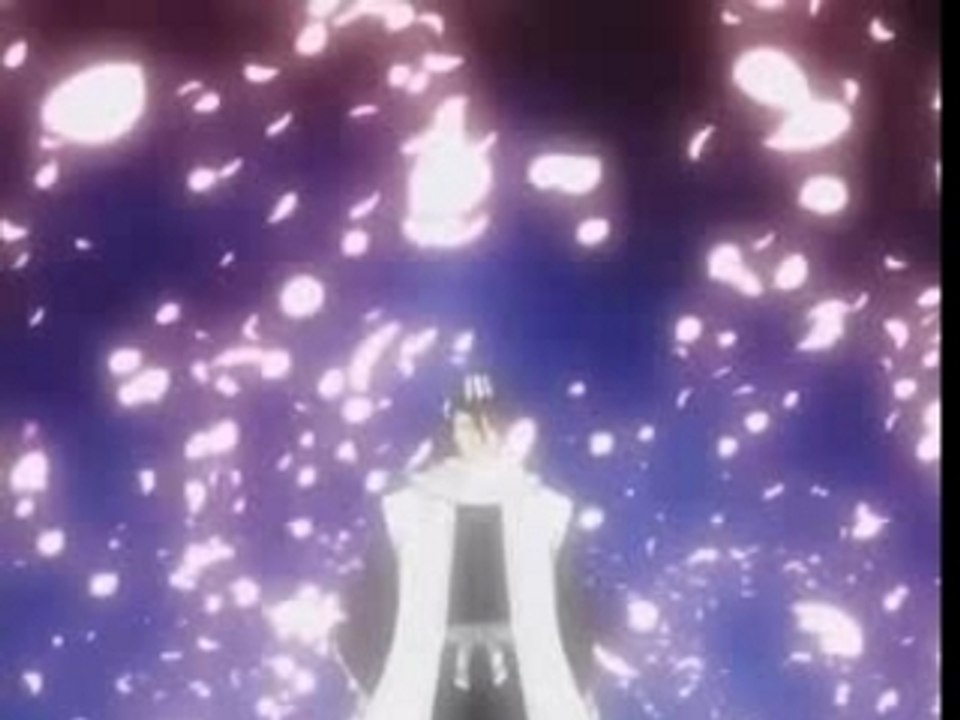 Combats d'ichigo