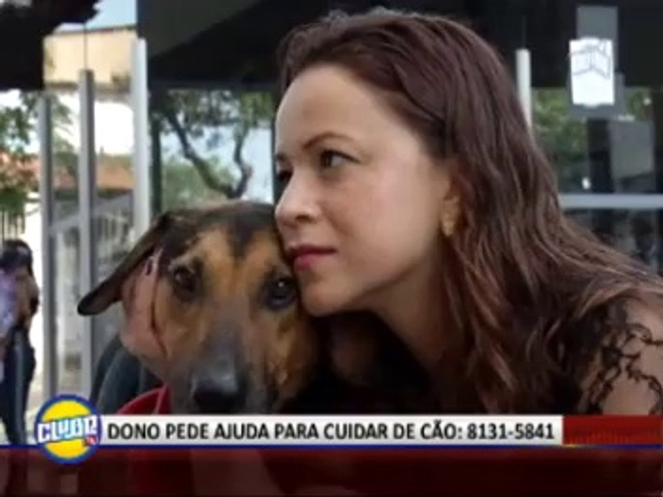DONO PEDE AJUDA PARA CUIDAR DE CÃO