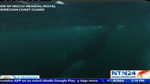 Guardia Costera de Noruega rescata a ballena jorobada que quedó atrapada con una cuerda