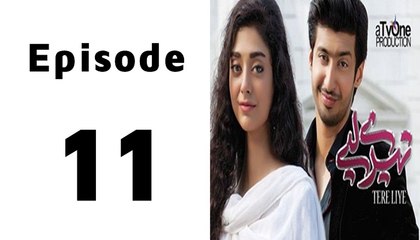 Tere Liye Episode 11 Full on Tv one Global in High Quality