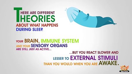 Why Sleep Is Essential for Your Health 💤