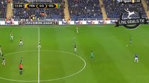 Fernandão Amazing Goal - Fenerbahçe S.K. 1-0 Celtic F.C. - Europa League - 10.12.2015
