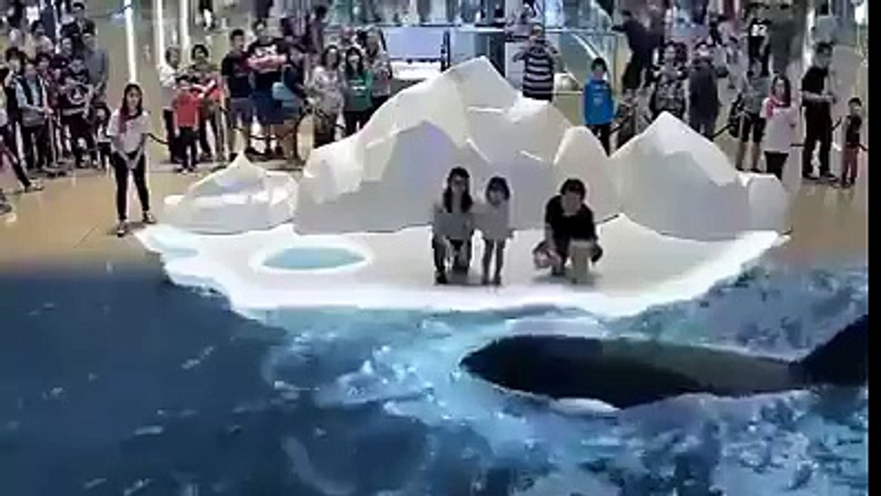 amazing vidoe