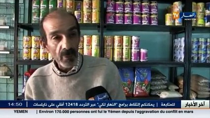مجتمع  نقص في أغذية القطط و الكلاب.. ضريبة التقشف على الطريقة الجزائرية