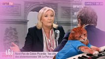 Les chats rattrapent le temps de parole FN - Le Grand Journal - Canal +