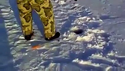 Я такого ещё не видел