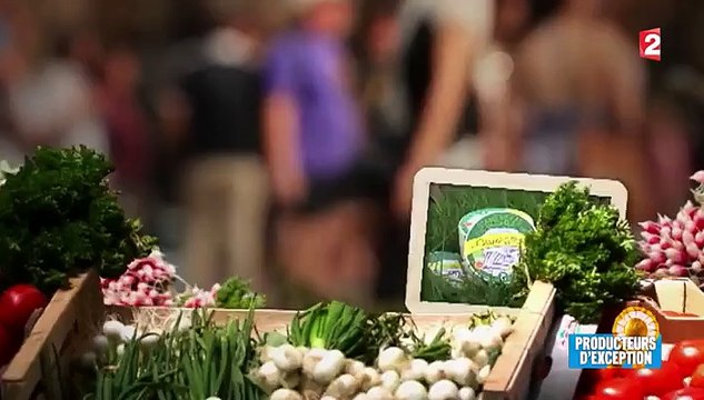 Agriculture : à la rencontre des derniers producteurs de camembert fermier bio