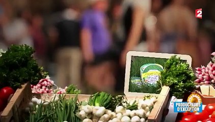 Agriculture : à la rencontre des derniers producteurs de camembert fermier bio