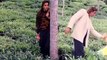 Mera Dil Bhi Kitna Pagal Hai Pyar Tumse Karte Hain-साजन Saajan (1991)_[H.Q.]__7sw