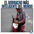 El Borracho Más Inteligente del Mundo