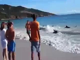 Help Help HD: Support & Assistance