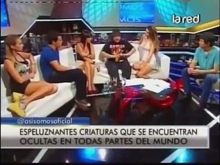 SALFATE Criaturas Mitológicas Criptozoología