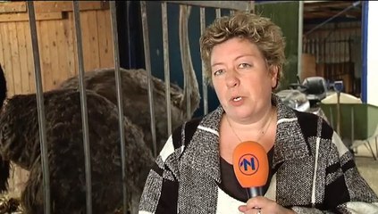 Het Weer: Harma bie de boer [10-12-2015] - RTV Noord