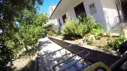 Golden Retriever - the dog who brings mail (iDLJKOZIYtU)