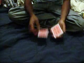 Visual Transpo by Rahat