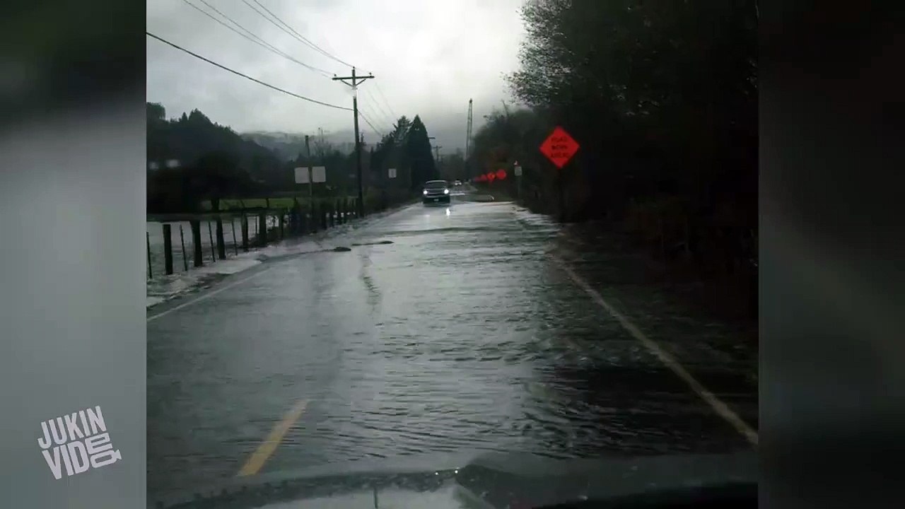 Des saumons traversent la route