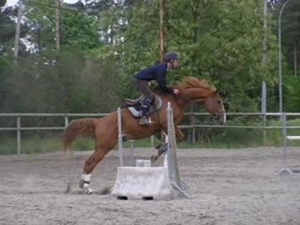 Samedi cours