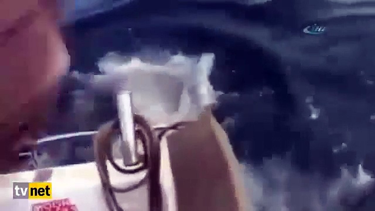 Yakaladığı Büyük Balığı Oltada Çalan Köpek Balığı! Shark Steals Fisherman's Catch In New Zealand!