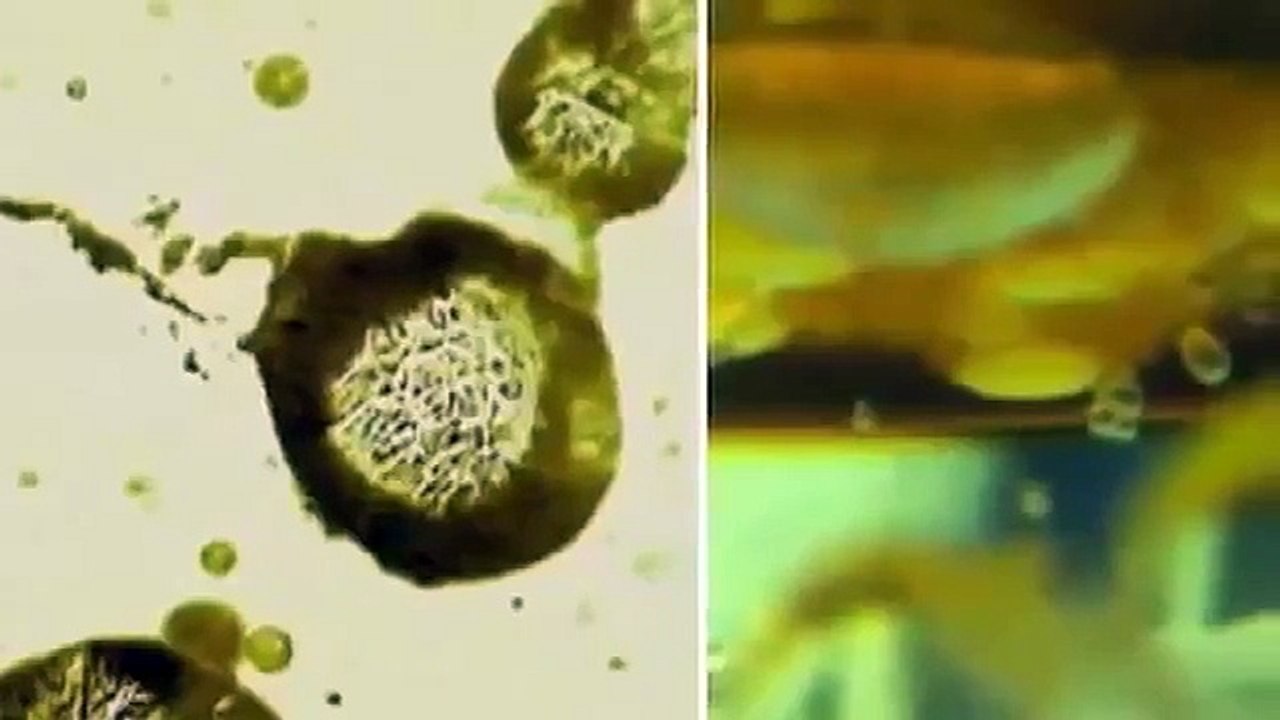 Yeryüzü ve Doğa Olaylarıyla İlgili Çok Şaşırtıcı 10 İlginç Bilgi [TOP 10]