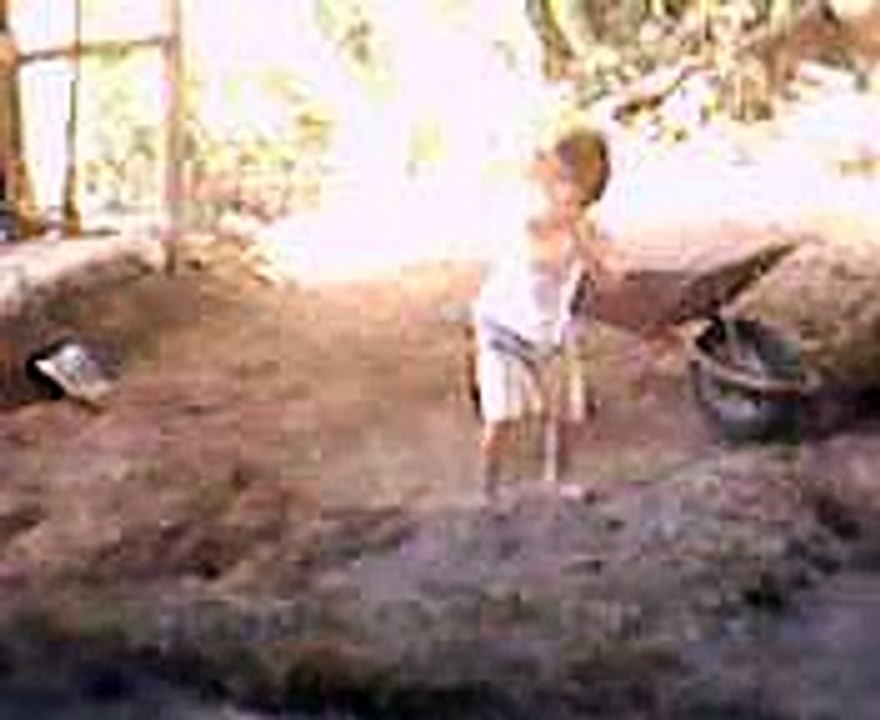 HENRIQUE DANIEL MORAIS