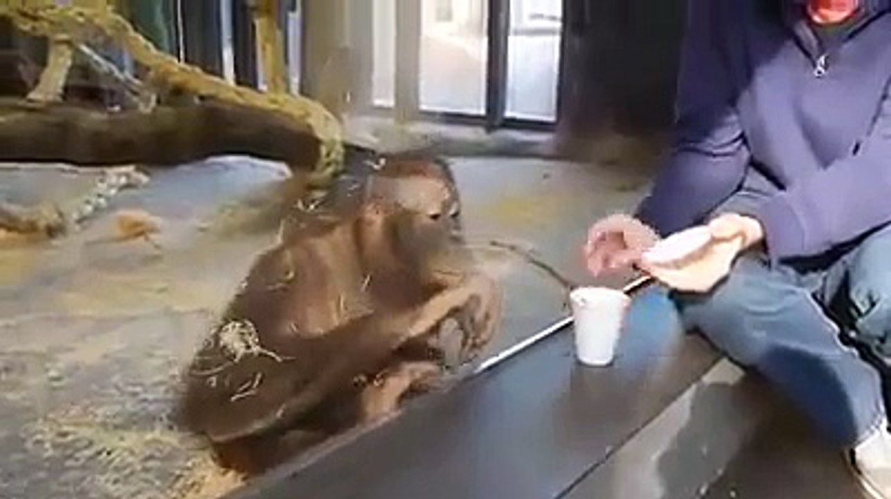 magic trick hilarious...