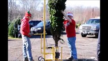 Where You can Cut your Own Christmas Tree Near Doylestown Pa
