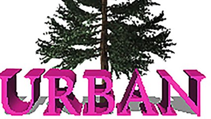 Urban Herbs Plant Unboxing