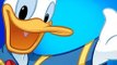 Disney Classic Cartoons Donald Duck Catoon Movies | Donald Duck & Chip and Dale Cartoons Full Episodes Movie