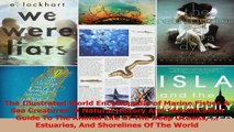 Download  The Illustrated World Encyclopedia of Marine Fishes  Sea Creatures A Natural History And PDF Free