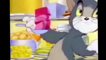 Tom and Jerry Cartoon Full Episodes in English Tom and Jerry Full Episodes English