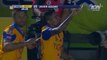 TIGRES VS PUMAS 2-0 GOL Javier Aquino FINAL IDA Liga MX Apertura 2015 [HD]