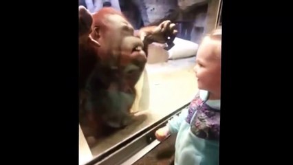 Zum totlachen Kinder und Tiere. Lustige videos
