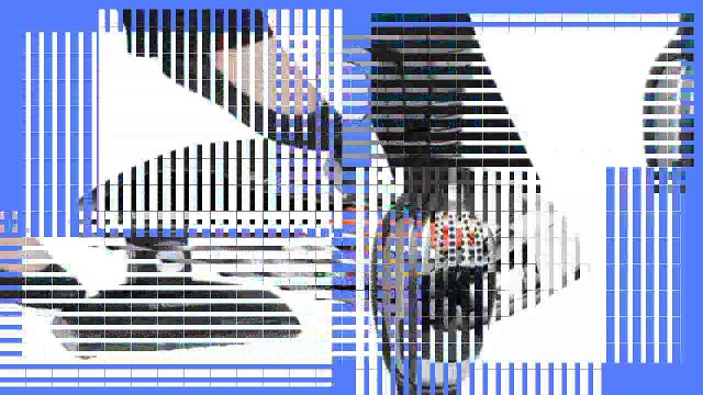 Best buy Handheld Vacuum cleaner Electrolux Ergorapido Brushroll Clean 2in1 StickHandheld Vacuum 12V Cordless EL1061A