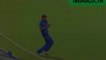 BEST ODI Top 12  /////// Impossible Catches In The Cricket History Ever - 2015 ///// BEST take