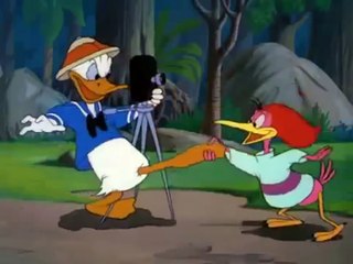 Best Disney Cartoons - Donald Duck - Clown of the Jungle