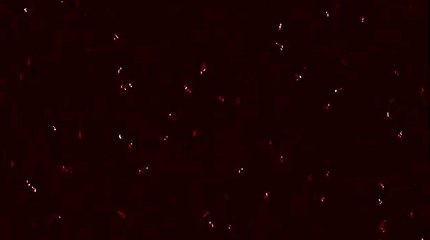 LAOSSA intro pour video