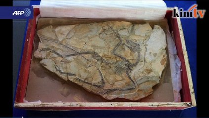AS pulangkan fosil dinosaur kepada China