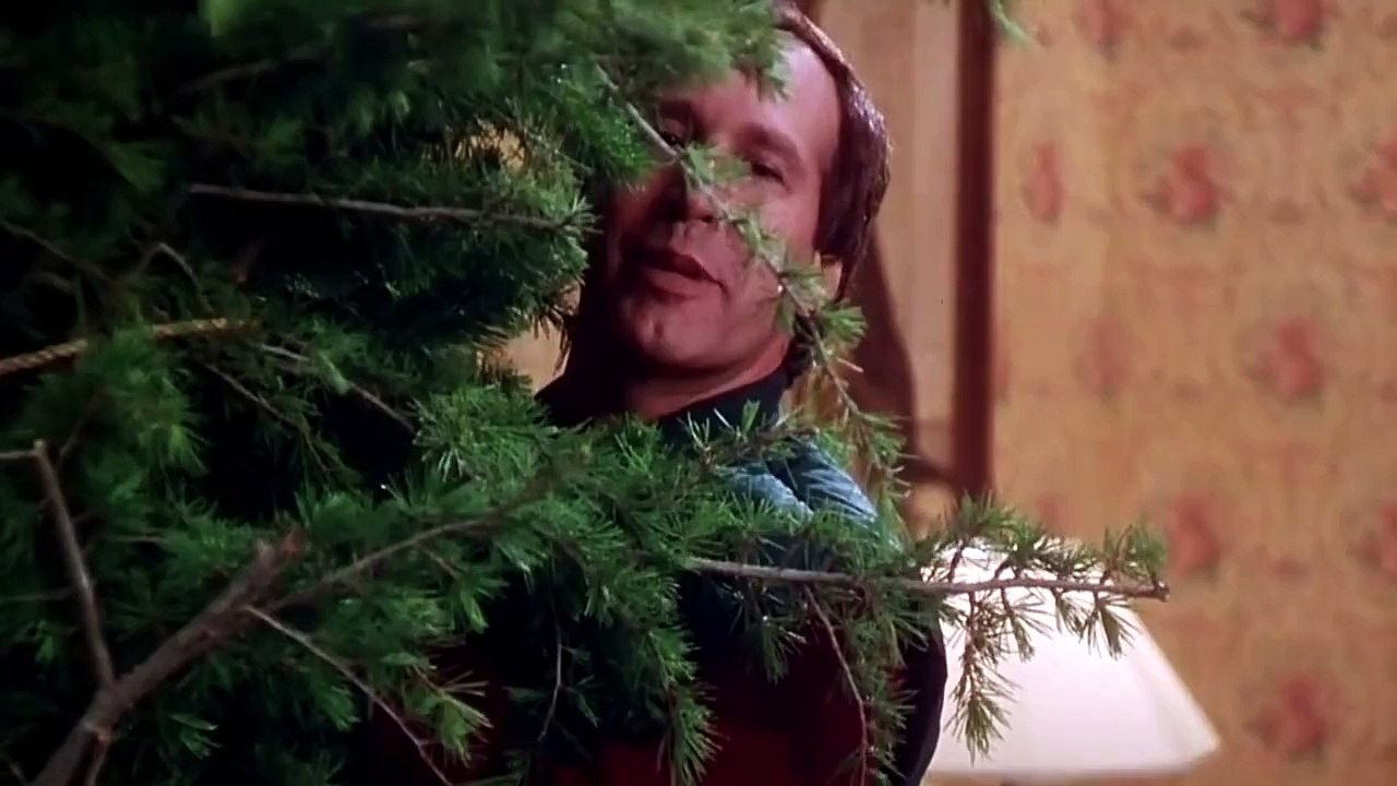 National Lampoons Christmas Vacation | Sunday 12/6 during 25 Days of Christmas on ABC Fam